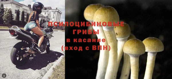 jwh Абаза
